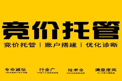 成功案例揭秘：sem代运营公司的策略与技巧